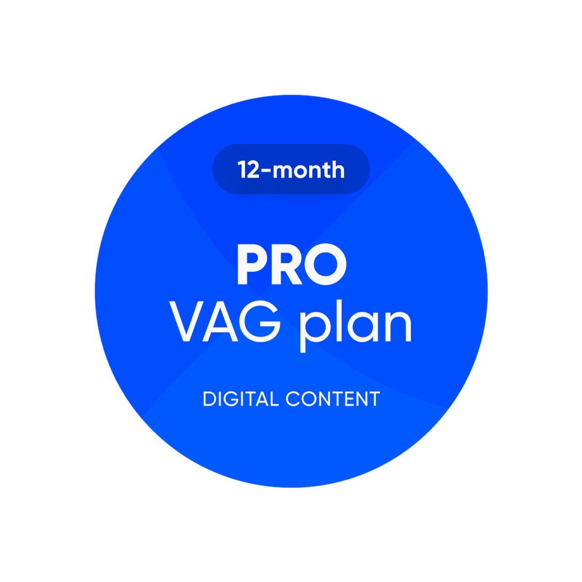 OBDeleven | Pro VAG Plan | Ohjelmistolisenssit
