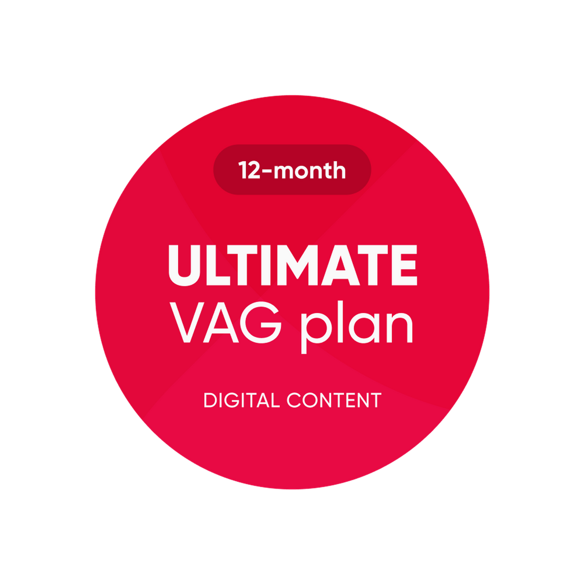 OBDeleven | Ultimate VAG Plan | Ohjelmistolisenssit